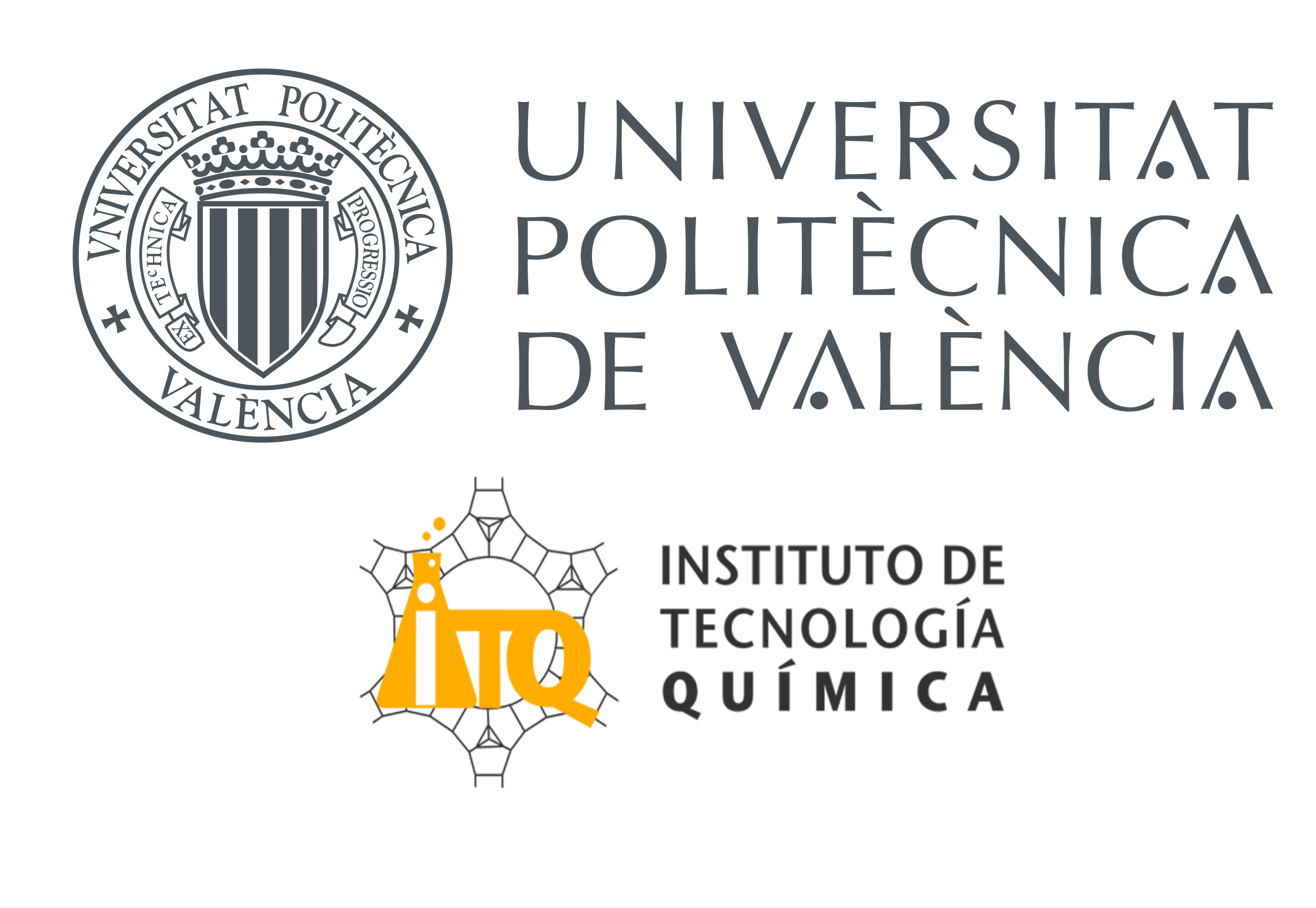 UNIVERSITAT POLITECNICA DE VALENCIA (UPV)